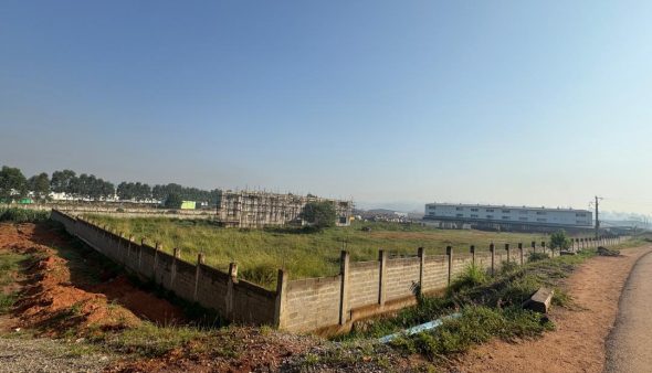 Ground clearing